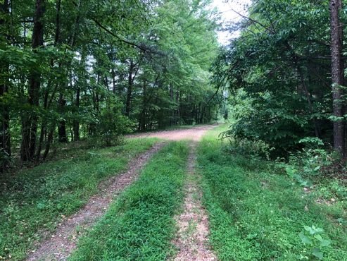 Specialized Recreational Land project view 3