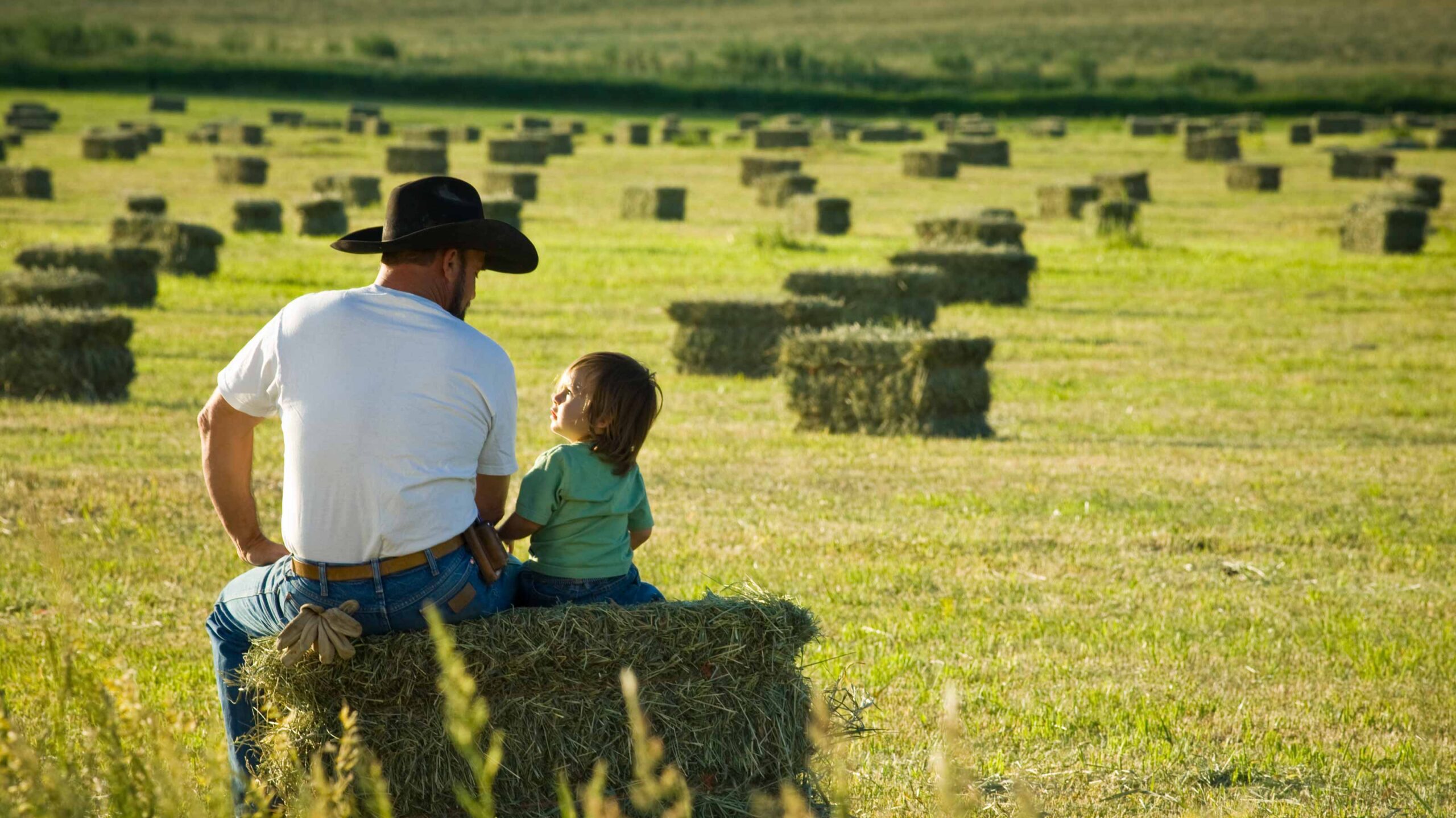 Farm Succession Plans - Family Farm Plans For Future Generations