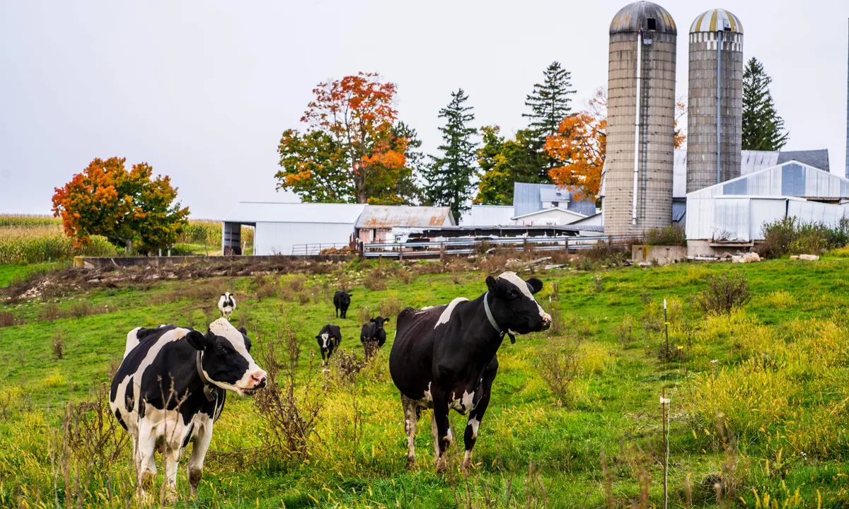 Dairy Farm Appraisals