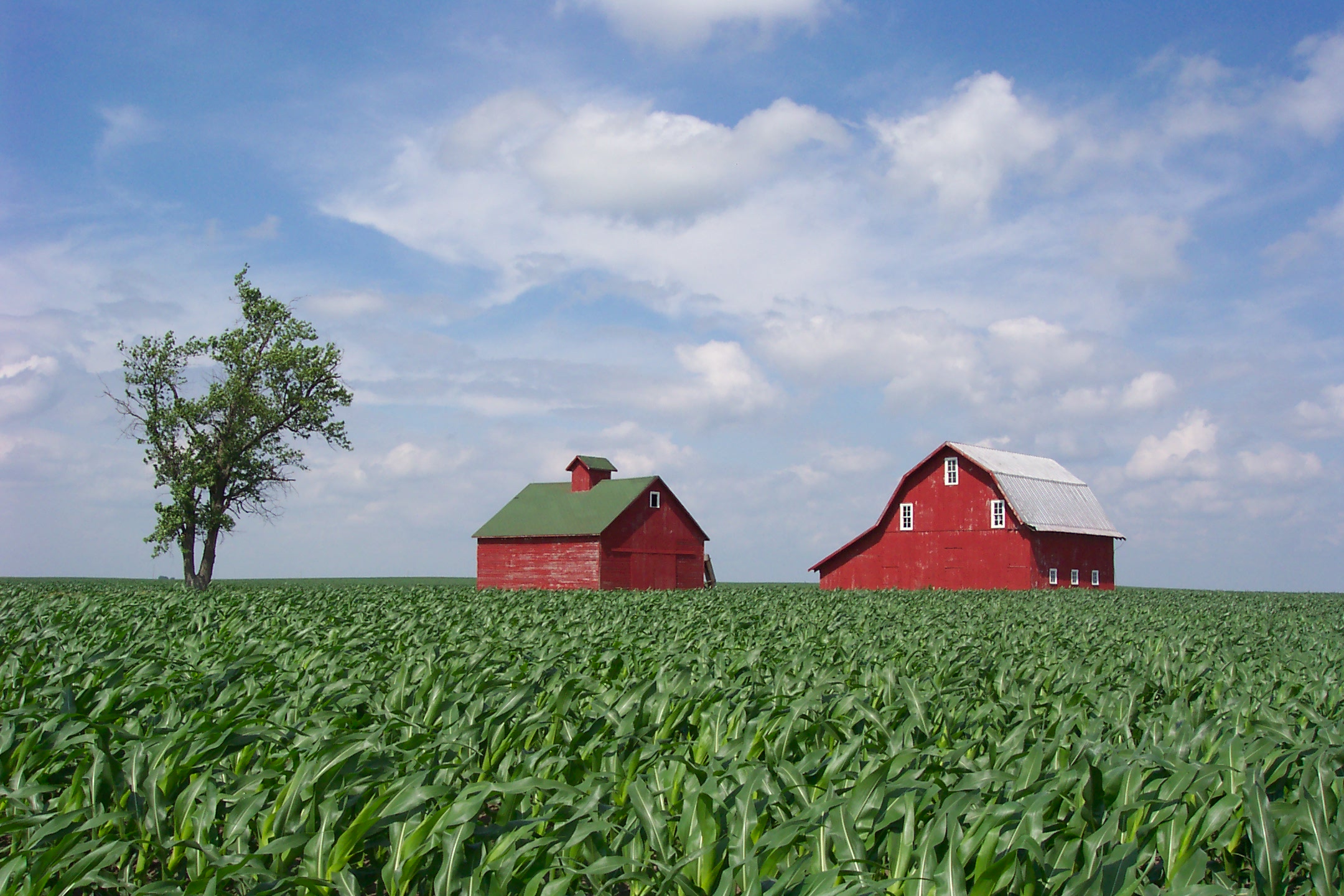 Agricultural Tax Appraisals