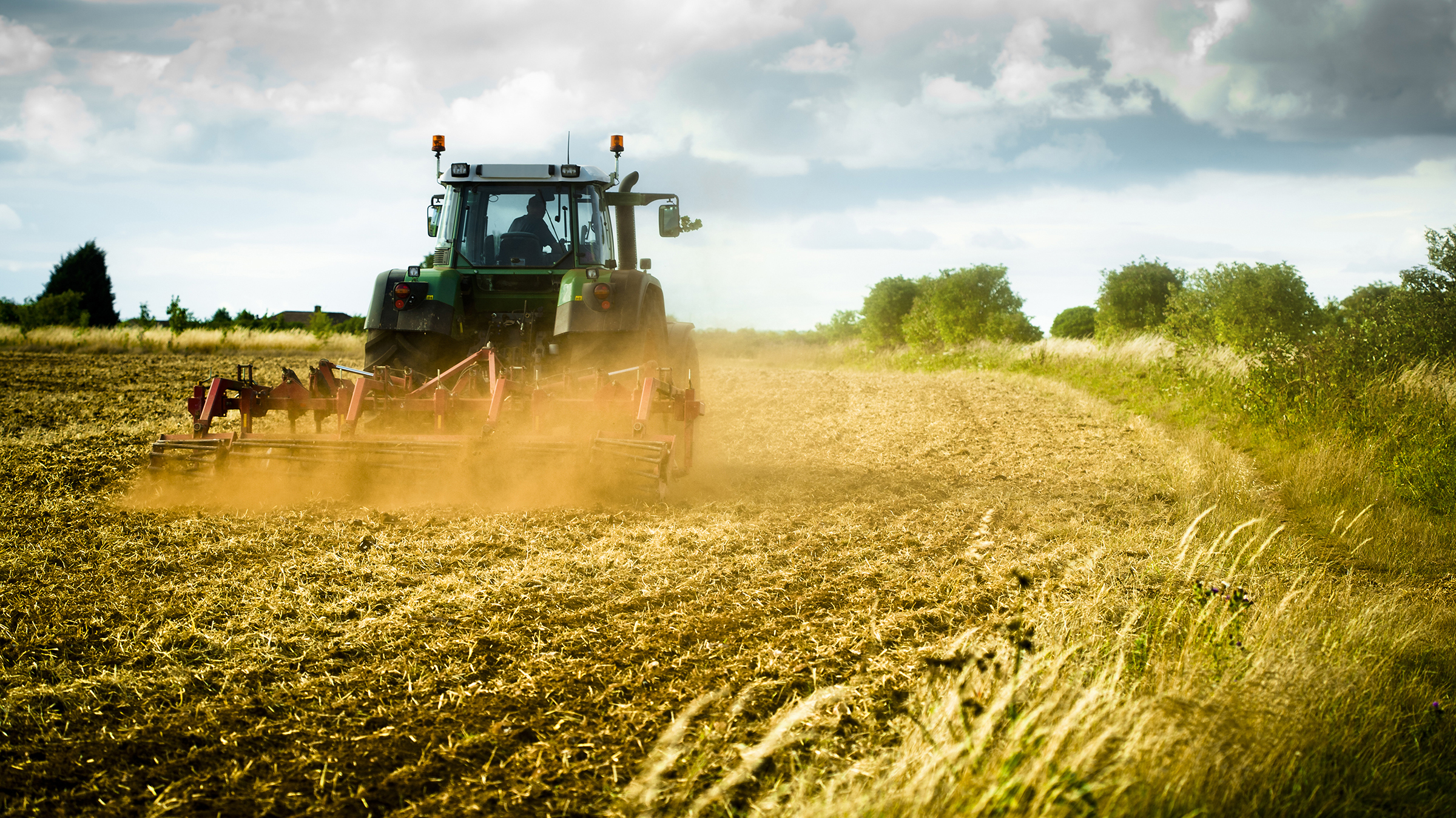 Alabama Farm Agribusiness