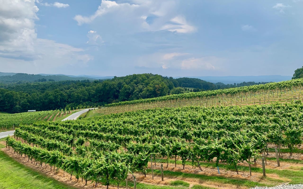North Carolina FarmLand Appraisal Services