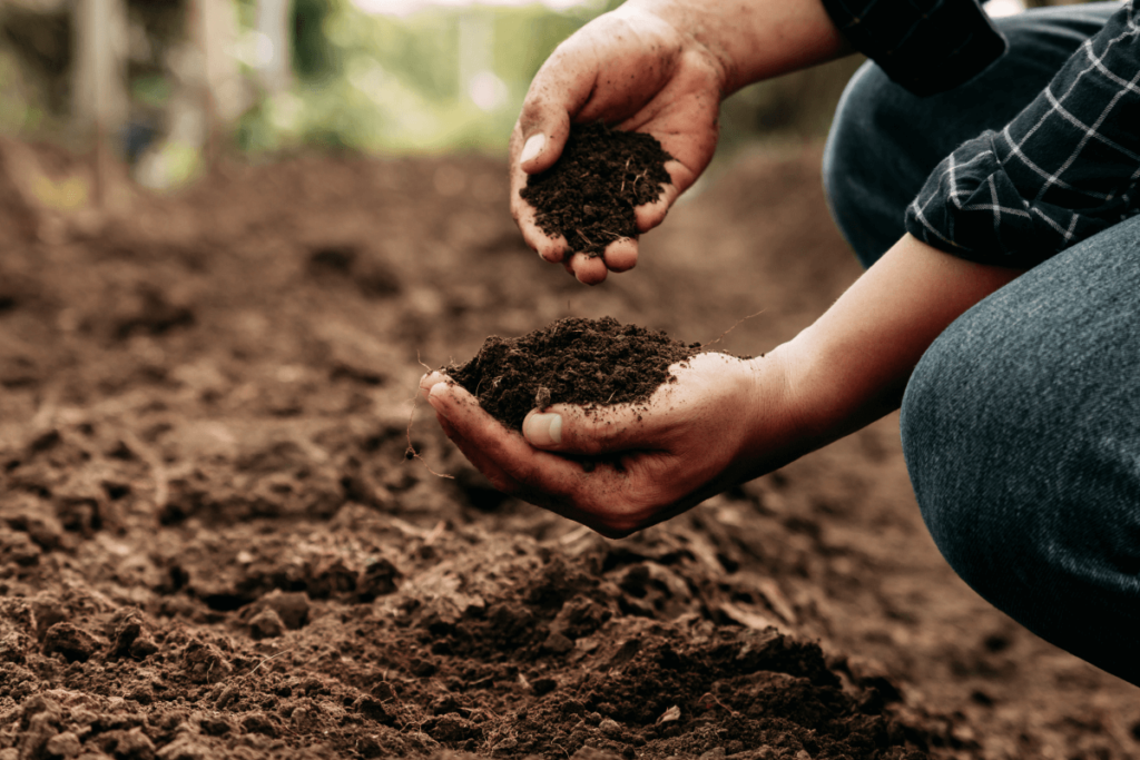 Soil Quality in Agribusinesses