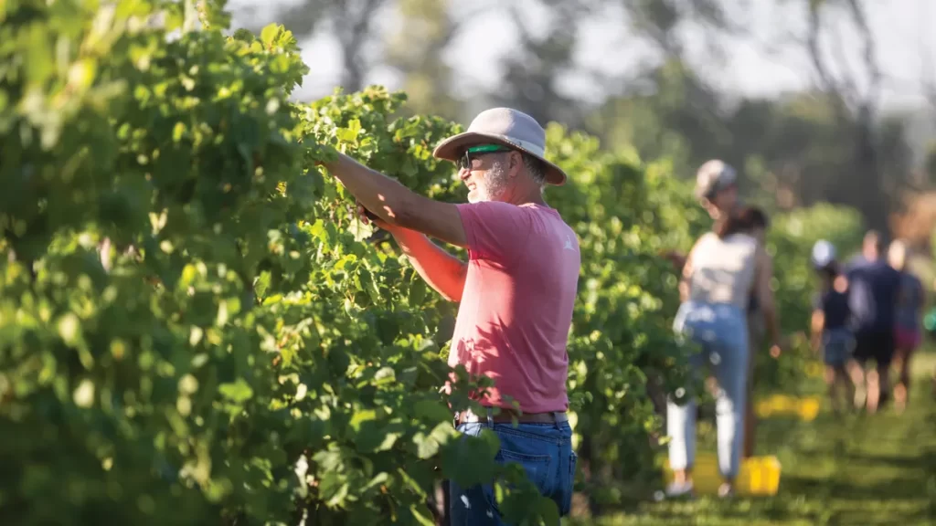 Vineyard Machinery Appraisals