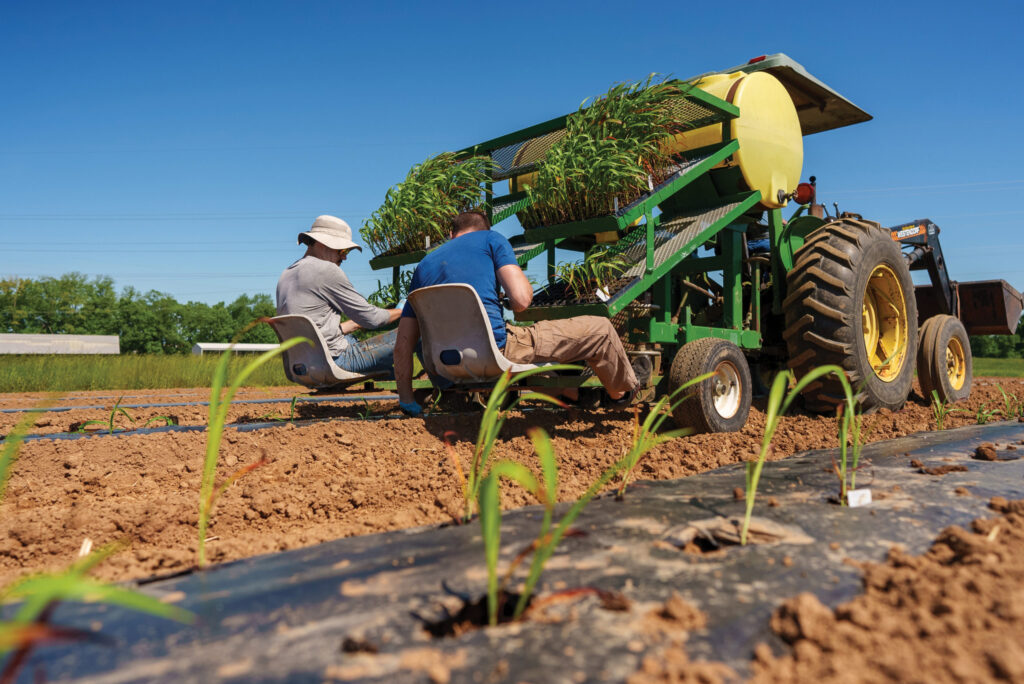 Kentucky Agribusiness is Booming