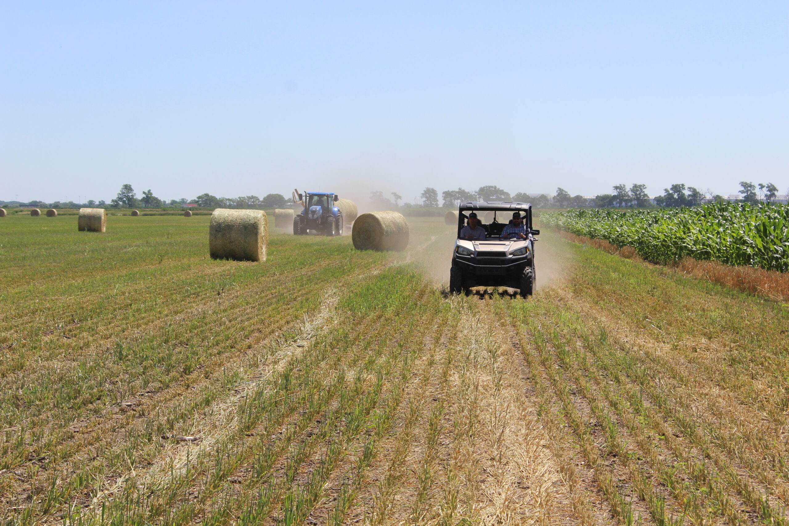 Hay Market a Boon For Agricultural Businesses