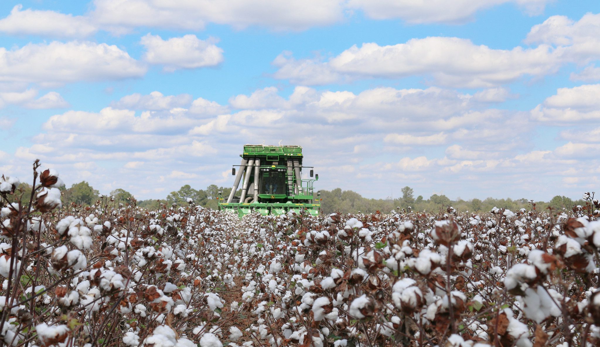 Alabama Receives USDA Grant