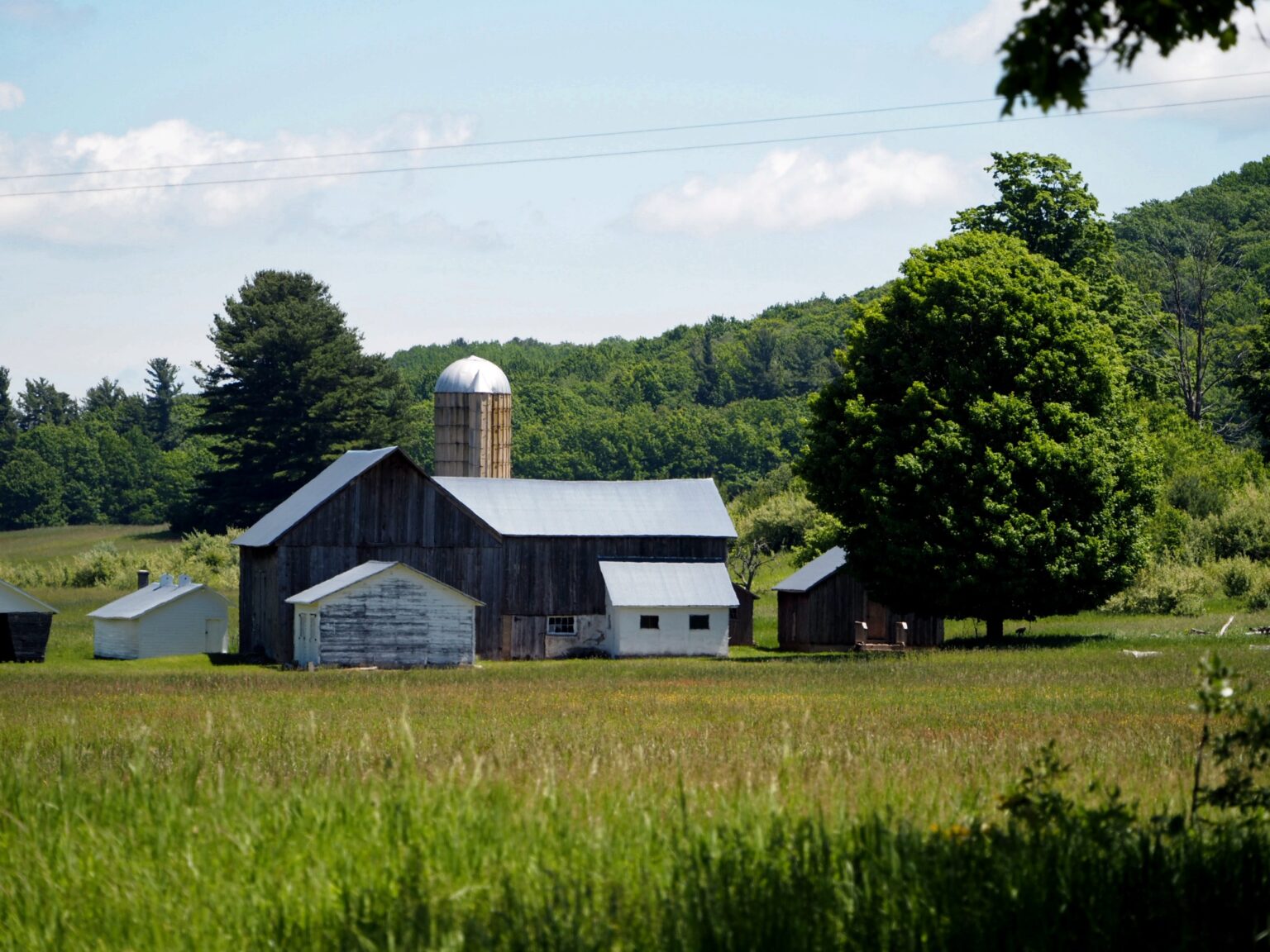 Stabenow Farm Bill