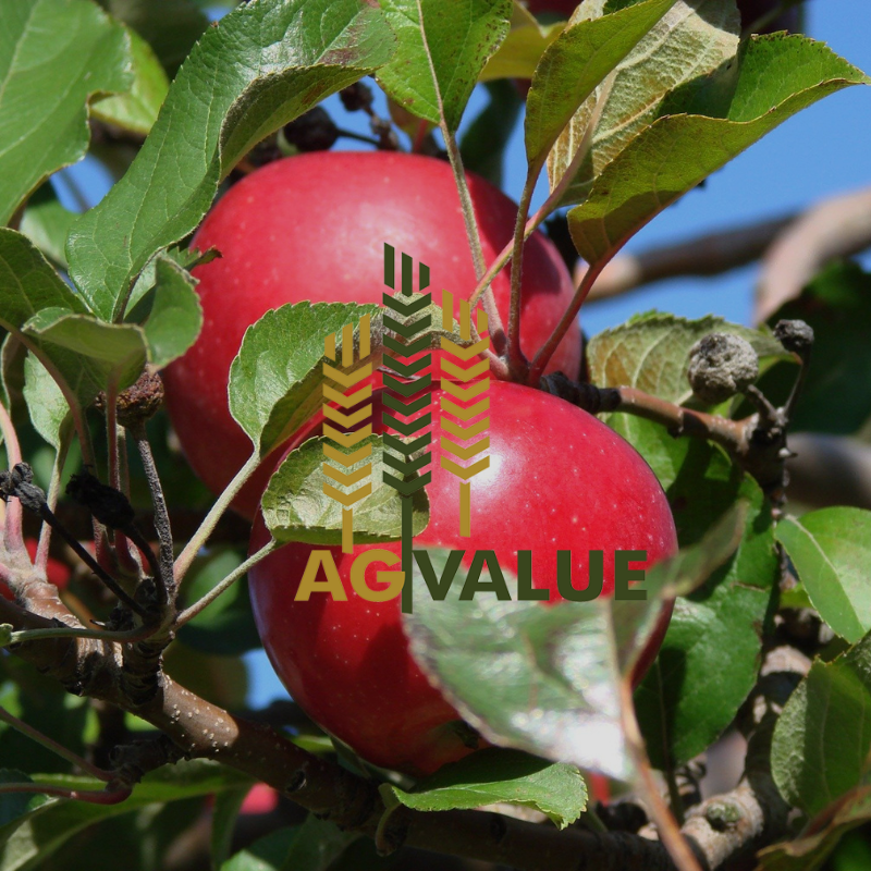 Michigan Farm Appraisals Rise