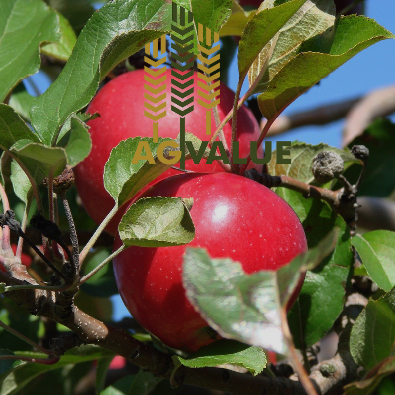 Michigan Farm Valuations