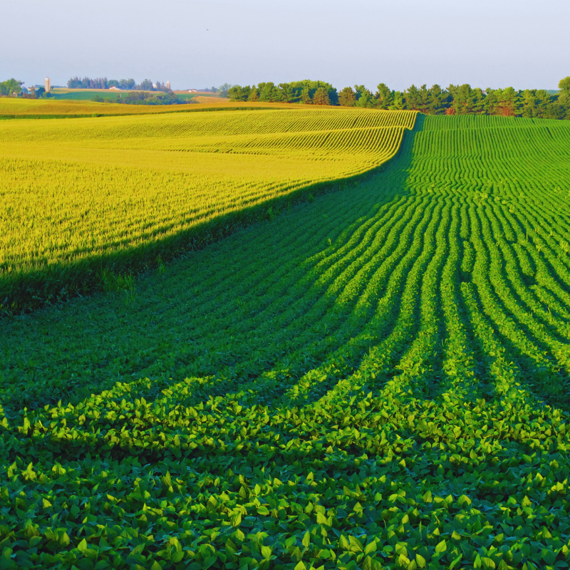 Wisconsin Farm Appraisals